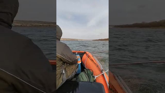 Дон Пятиизбянка! смотреть онлайн