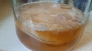 Чайный гриб зародился не красивый,почему??!