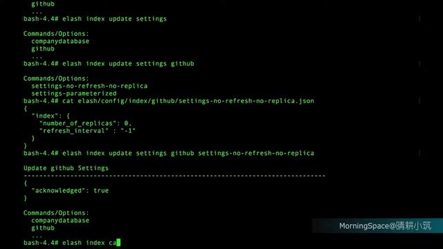 Elastic Shell 101: Working with Index смотреть онлайн