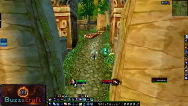 HOW TO SOLO THE ZG TIGER BOSS | MAGE Edition | Wrath Classic смотреть онлайн