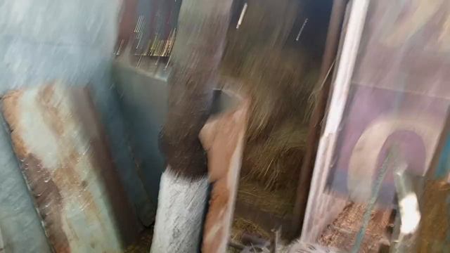 тюк сена с сюрпризом