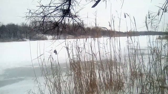 Донецк.Зимнее купание 2018. смотреть онлайн
