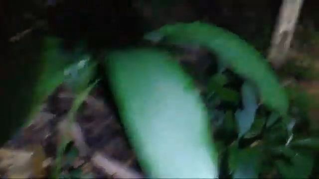 ?LIVE MISTERI MALAM INI || CARI SUNDEL BOLONG смотреть онлайн