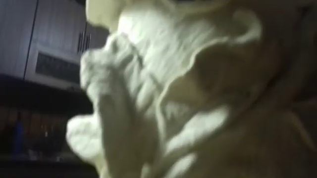 Сказочный дом #1 смотреть онлайн