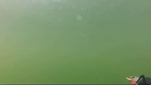 подводная охота в Сумах смотреть онлайн