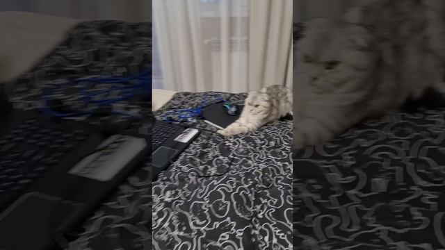 Надо ли тебе худеть??)