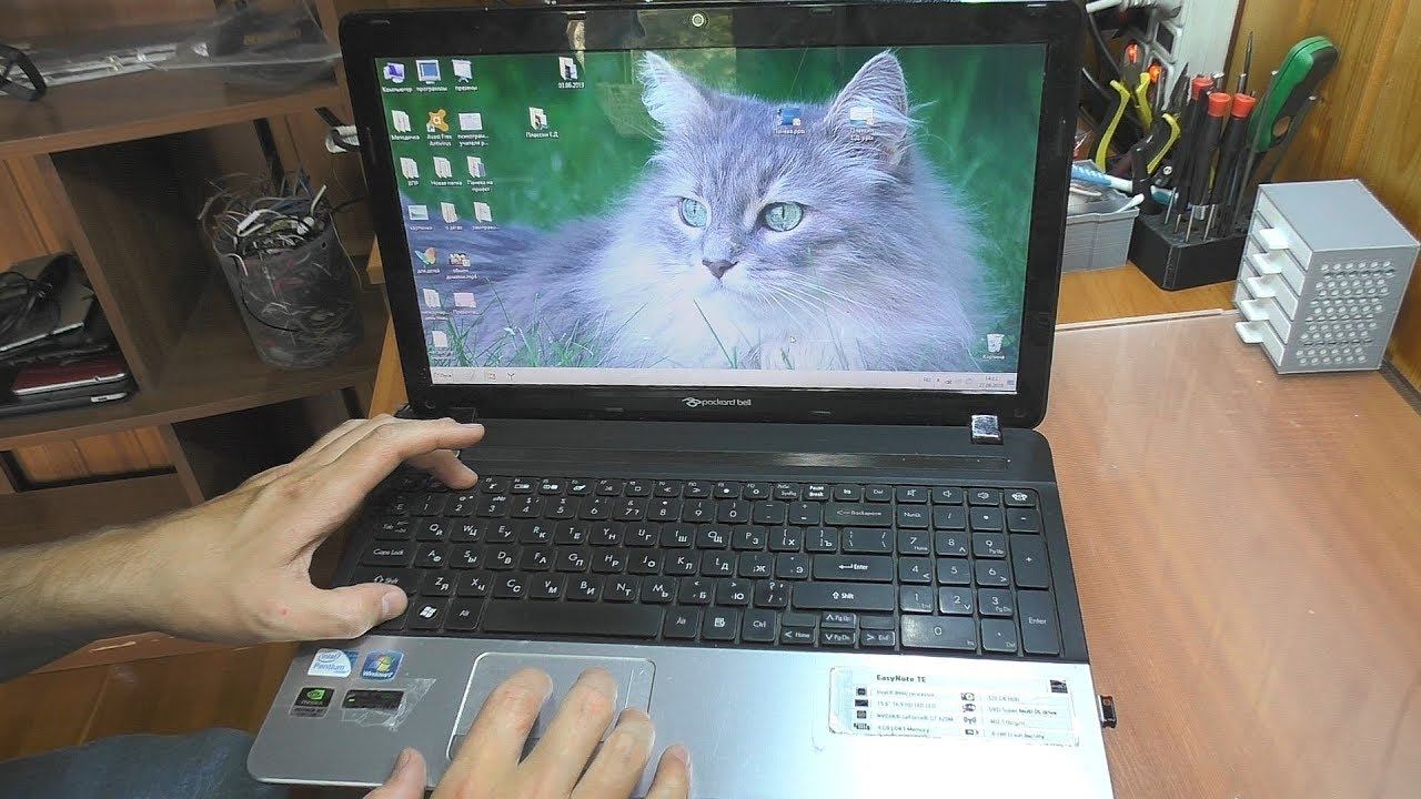 Нет интернета / Не видит Wi-Fi сети. Ноутбук Packard Bell EasyNote TE11 смотреть онлайн