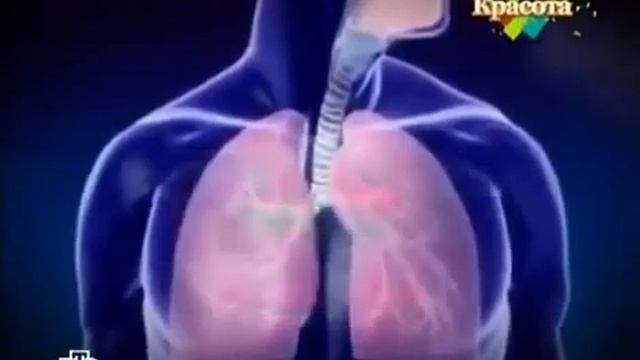 Опасность фосфатные стиральные порошки Вы все еще травите себя и свою семью смотреть онлайн