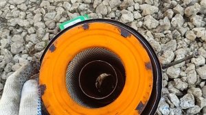 Бумажный воздушный фильтр на МТЗ 80