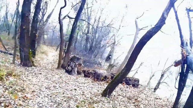 Николаевка. Экспериментальная рыбалка на живца, и есть ли клев белой рыбы поздней осенью на р.Донец смотреть онлайн