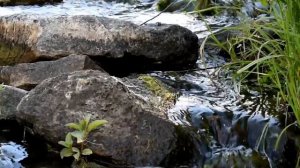 Футаж , речка HD 1080