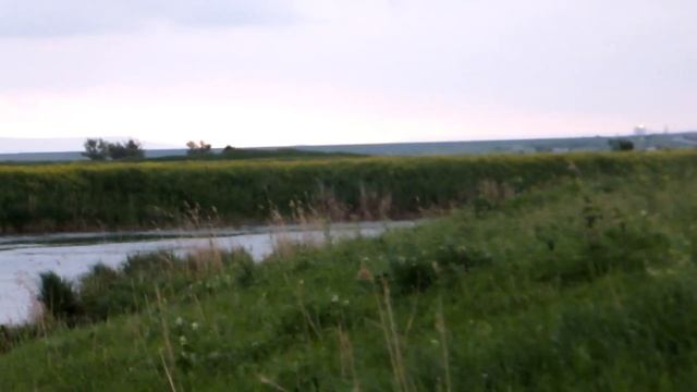 Утренняя зорька , от Пал Палыча 19 05 21 смотреть онлайн