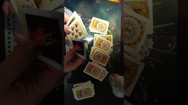 дама червей события и встречи смотреть онлайн