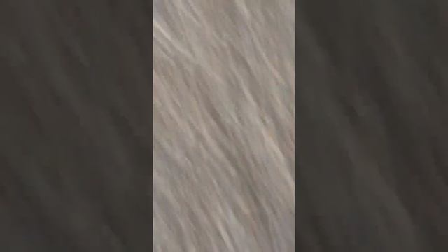 OZON в деревне смотреть онлайн