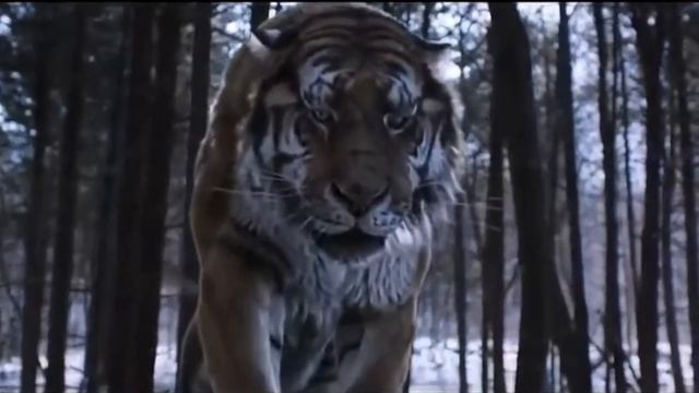 Alex Rus Дикая Львица (tigre Kwai & TikTok) leona salvaje смотреть онлайн