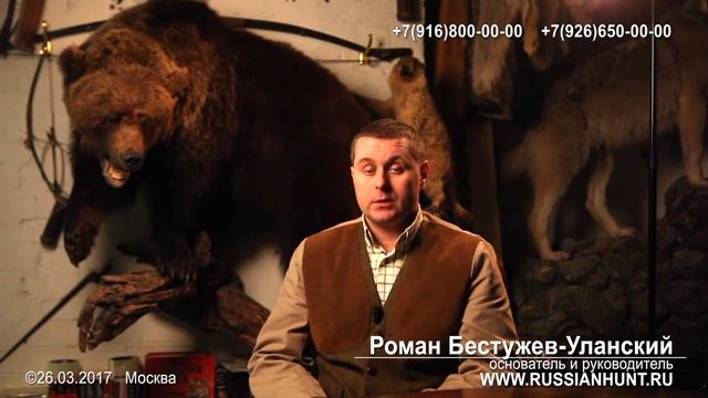 СТРУЯ КАБАРГИ, МУСКУС КУПИТЬ. смотреть онлайн