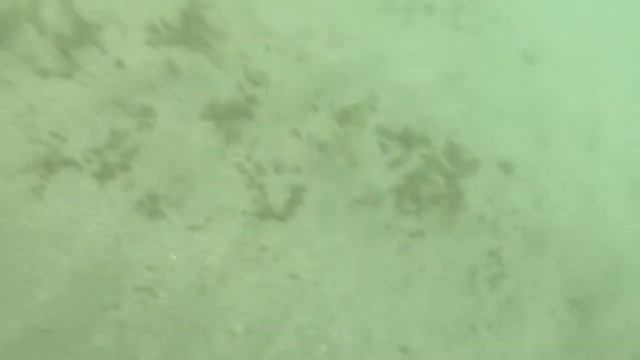 Проверяем водонепроницаемый чехол Renax смотреть онлайн