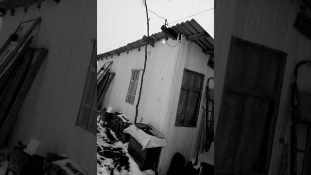 Обращение к РАМЗАН АХМАТОВИЧУ КАДЫРОВУ смотреть онлайн