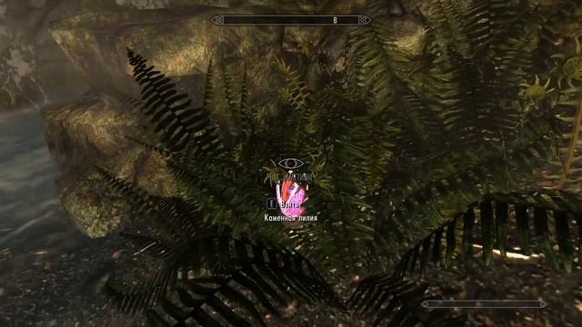 Скайрим. Мод АКАВИР. ПРОКЛЯТИЕ БЕССМЕРТНЫХ. AKAVIR. THE CURSE OF THE IMMORTALS Прохождение. Часть 1 смотреть онлайн