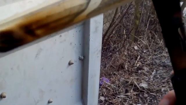 Тест масла Ликви Моли 5w40 Мобил 1 0w40 Часть 5 смотреть онлайн