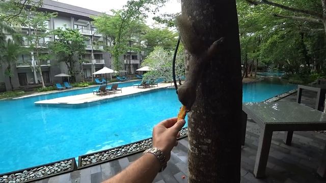 В семейном отеле от MARRIOTT на БАЛИ. Courtyard Bali Nusa Dua Resort смотреть онлайн