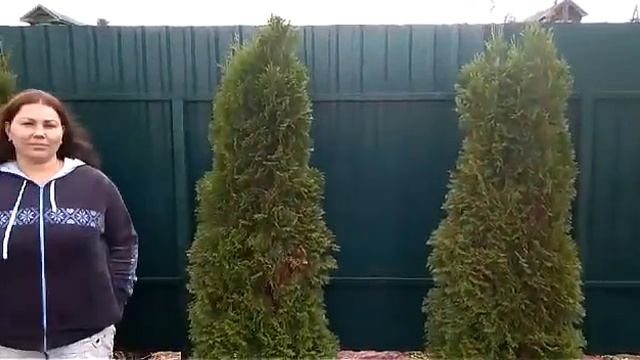 Установка забора из профнастила С20 в д. Воронино Клинского района - отзыв клиента смотреть онлайн