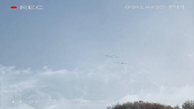 "ЧЁРНАЯ ЧУМА" в Новгородской области смотреть онлайн