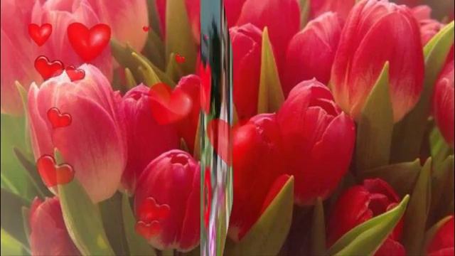 Мой ролик С Днём Рождения Тамара! смотреть онлайн