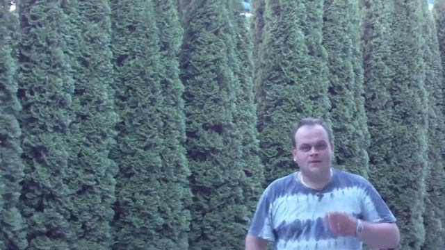 Testvideo mit der somikon Dv-853.IR смотреть онлайн