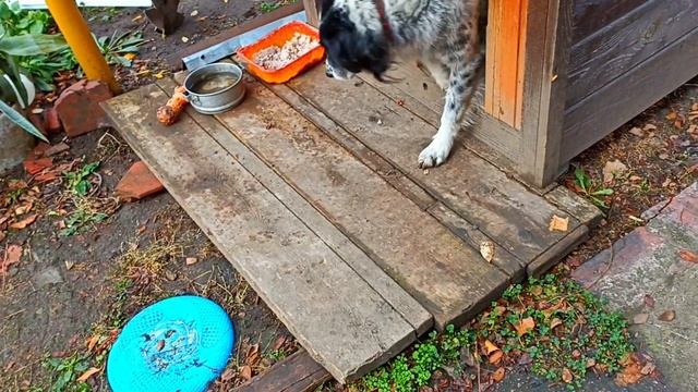 Просто подморозило❄