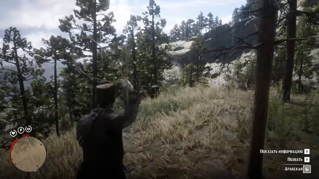 ГДЕ НАЙТИ РЕДКУЮ АРАБСКУЮ ЛОШАДЬ В RDR 2? смотреть онлайн