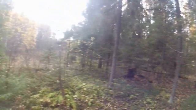 Погуляли, постреляли! смотреть онлайн