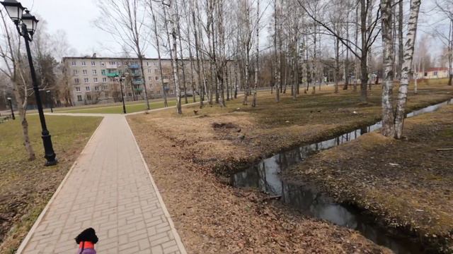 пудель по кличке Полли смотреть онлайн