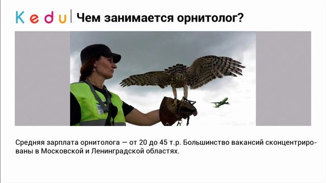 Чем занимается орнитолог؟ смотреть онлайн