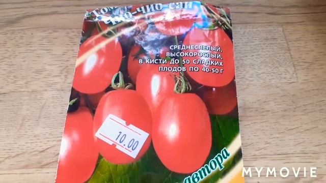 обзор рассады томатов,сорта, что посажу в парник в 2021 году.март:) смотреть онлайн