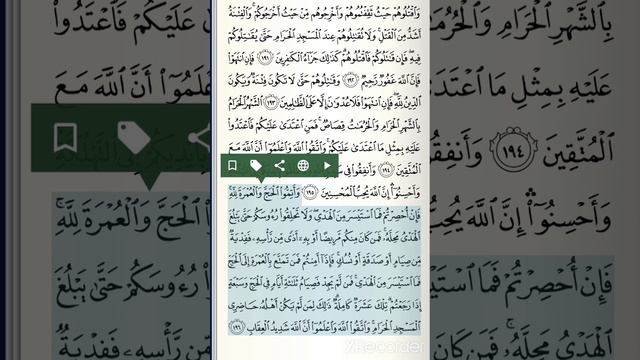 Сура аль-Бакара 191-202 аяты. Священный Коран. смотреть онлайн