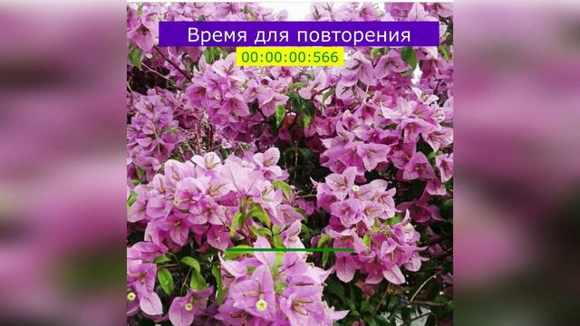 Полный словарь турецкого _ Уровень В2 - часть 2 _ 212 день смотреть онлайн