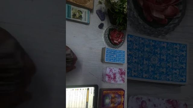 Tarot & Oracle by Bhawna is live смотреть онлайн