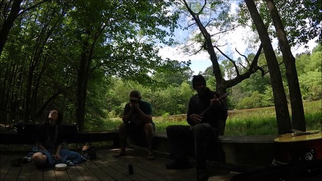 I'm not gonna fear that covid 19 no more - original song - harmonica and ukulele - zoom q2n 4k смотреть онлайн
