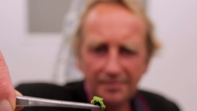 PROJECT AZOLLA : From floating fern to renewable resource смотреть онлайн