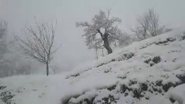 Дехаи разак Боридани барф смотреть онлайн