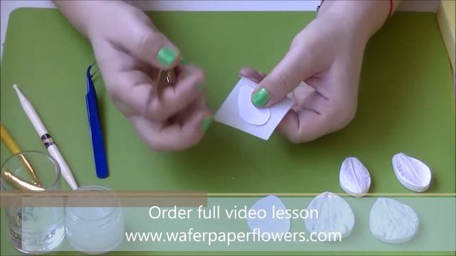 Wafer Paper Sweet Pea Tutorial with Petya Shmarova Trailer смотреть онлайн