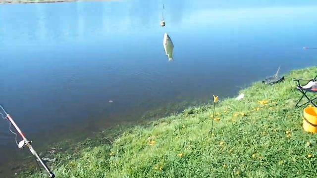 Отец на рыбалке в Комаровке смотреть онлайн