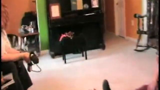 2/11/09 Yukon смотреть онлайн