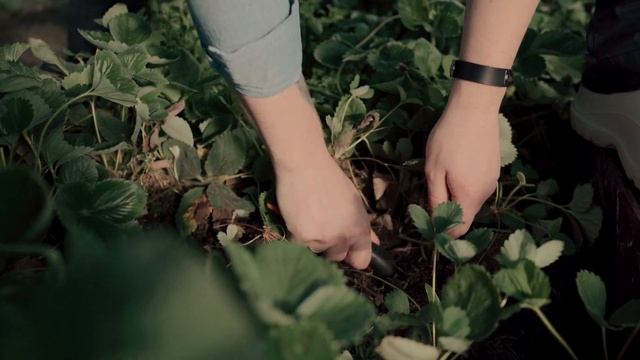 Вилка садовая Альт-Пласт смотреть онлайн