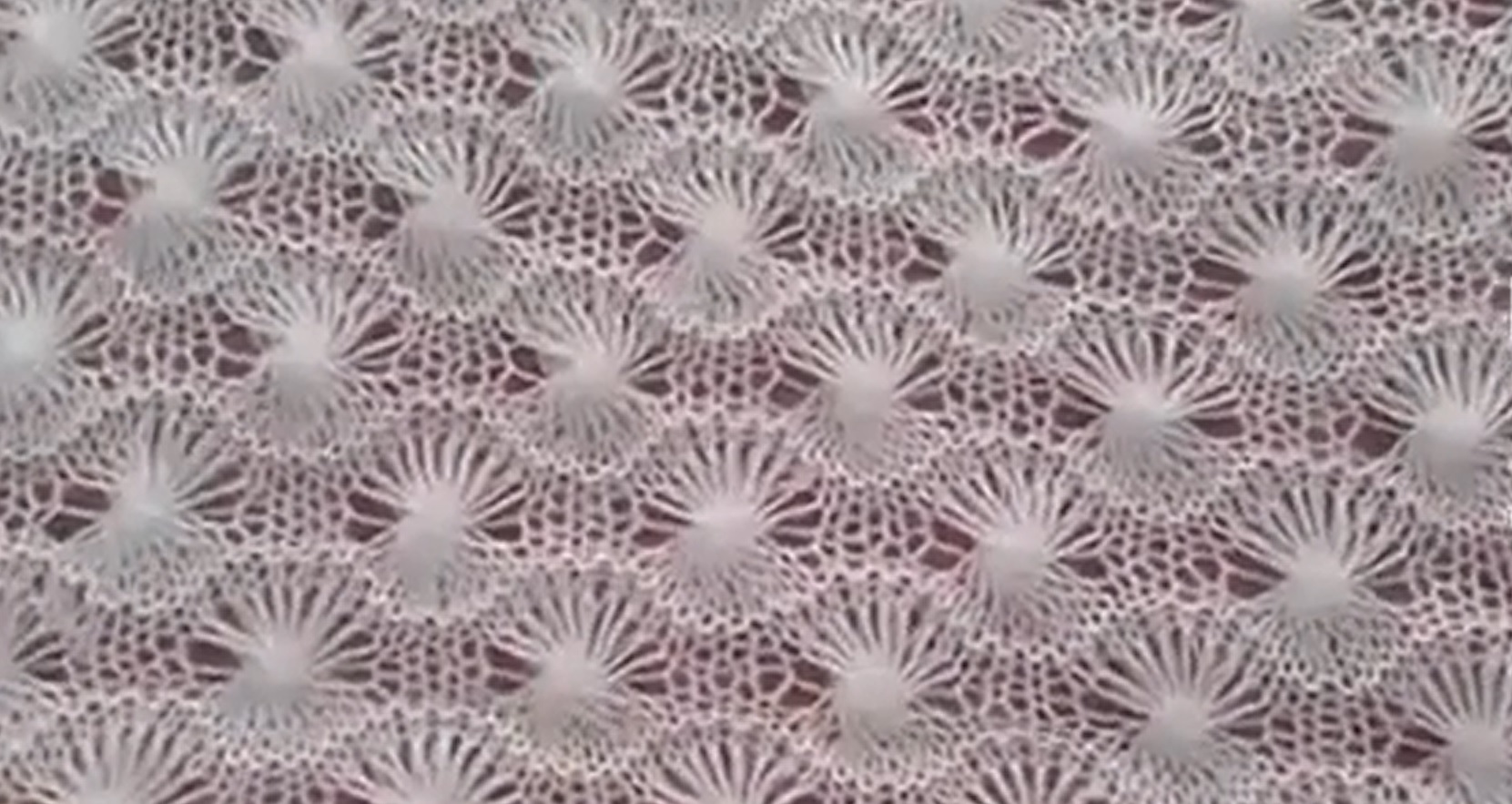 ШАЛЬ Изготовление свадебной шали спицами смотреть онлайн