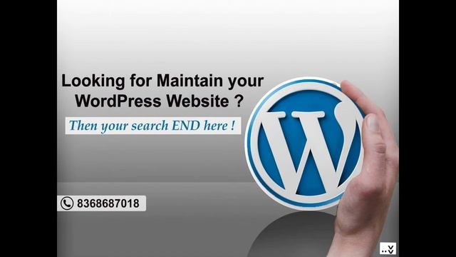 Looking for maintain your Wordpress Website | Management смотреть онлайн