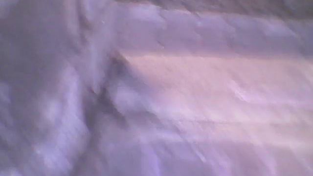 Самый тупой влог на свете смотреть онлайн