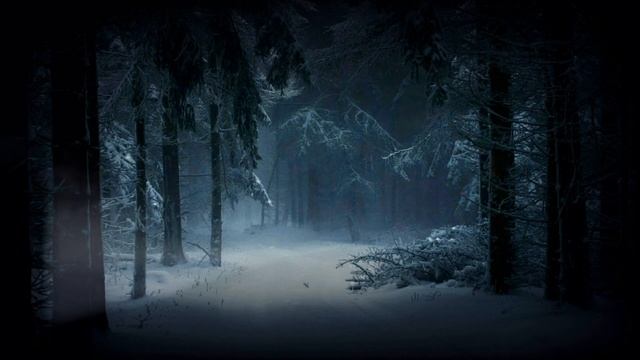 Музыка для медитации|Зимний лес|Спокойная музыка. смотреть онлайн