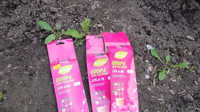Купила готовые Опоры для моих роз-флорибунд, покажу ВАМ Обзорчик 22.08.2021 год смотреть онлайн